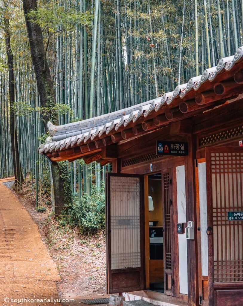 Juknokwon Bamboo Forest - unique things to do in South Korea
