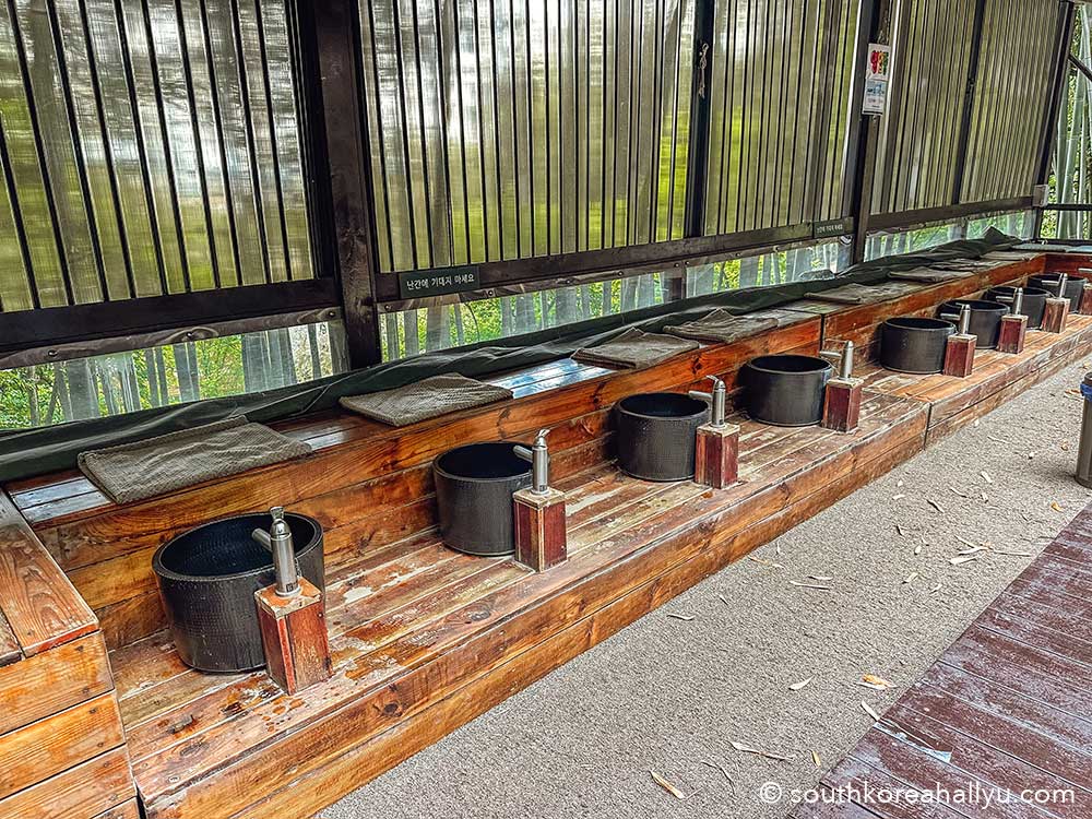 Juknokwon Bamboo Forest in Damyang 죽녹원 South Korea foot spa