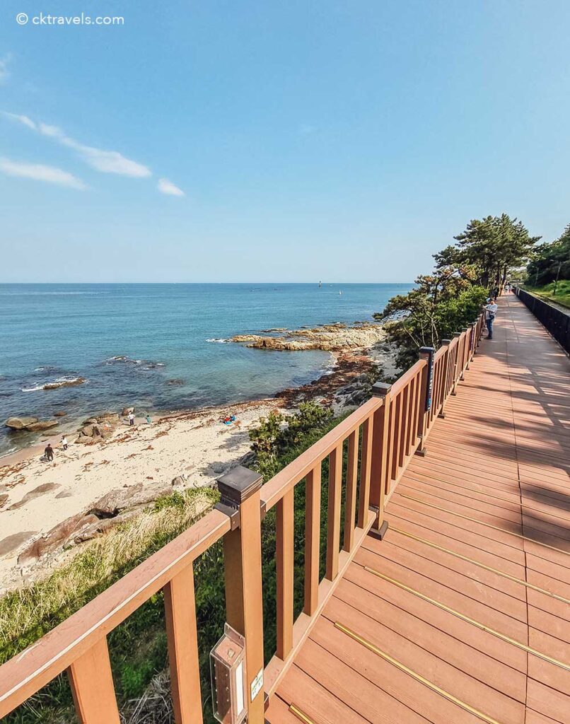 free things to do in Busan - Busan Green Railway