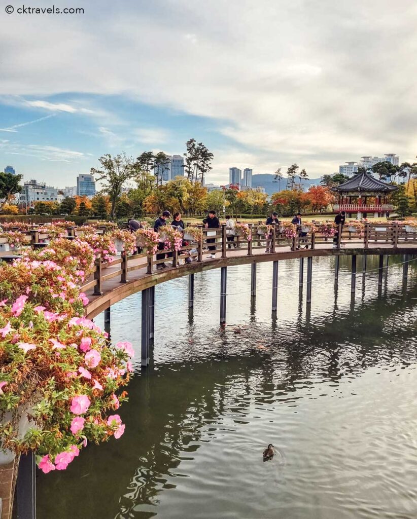 free things to do in Busan - Busan Citizens Park