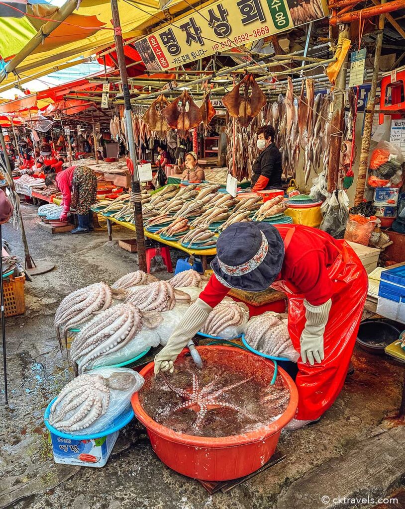 free things to do in Busan - Jagalchi Fish Market