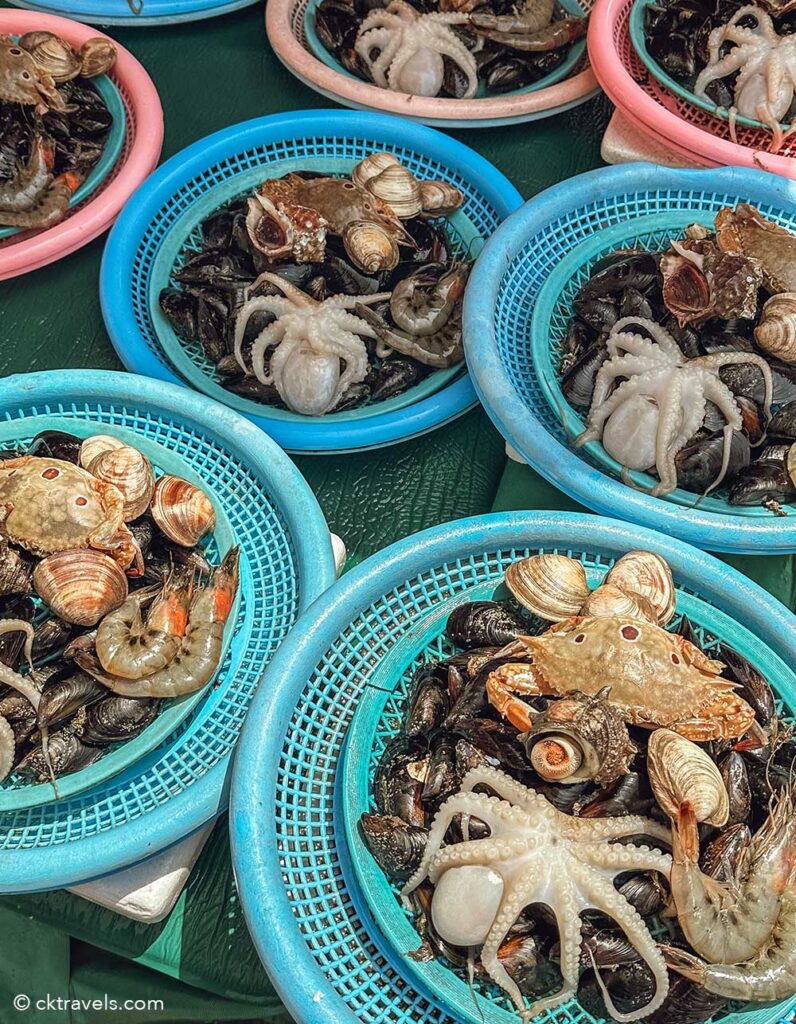 free things to do in Busan - Jagalchi Fish Market